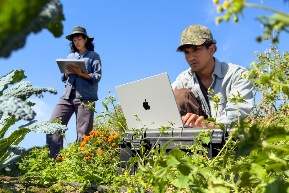 Dos personas trabajan al aire libre con un MacBook Pro en un día soleado